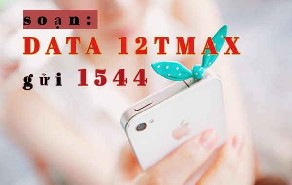 Đăng ký 12TMAX Vinaphone: Tiết kiệm chi phí, tiết kiệm thời gian, không lo gian đoạn