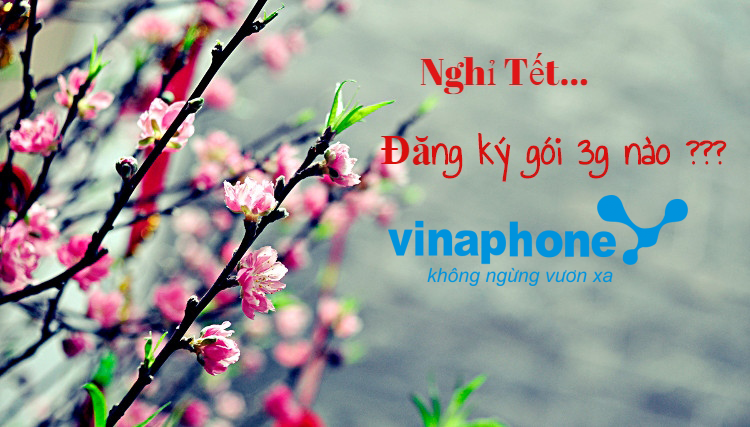 Chọn gói cước 3G/4G Vinaphone nào để dùng trong dịp Tết Nguyên Đán